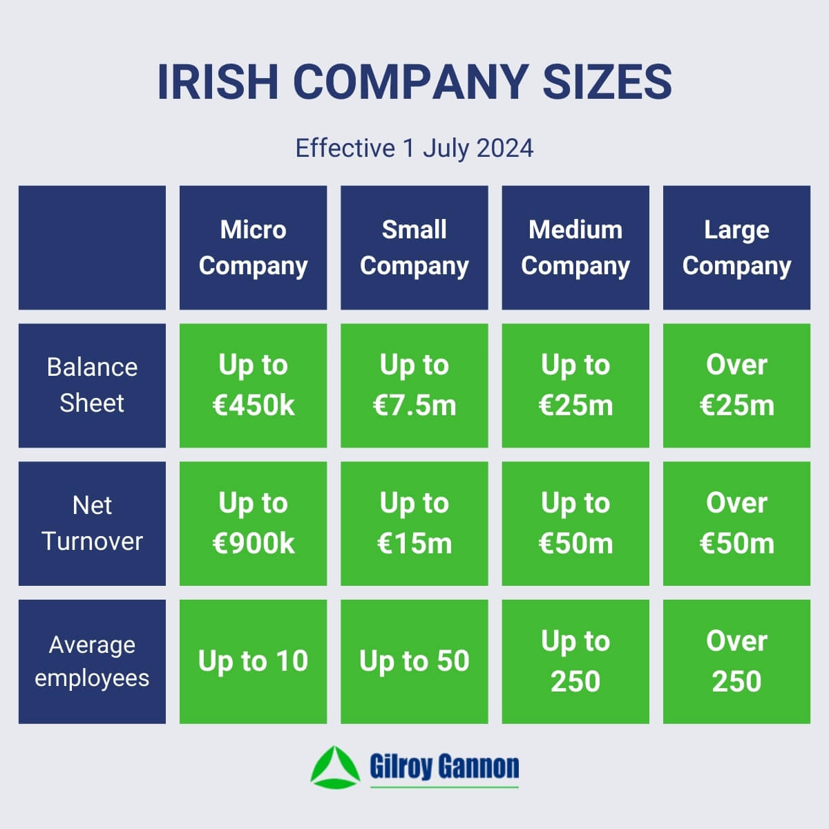 Irish Company Sizes