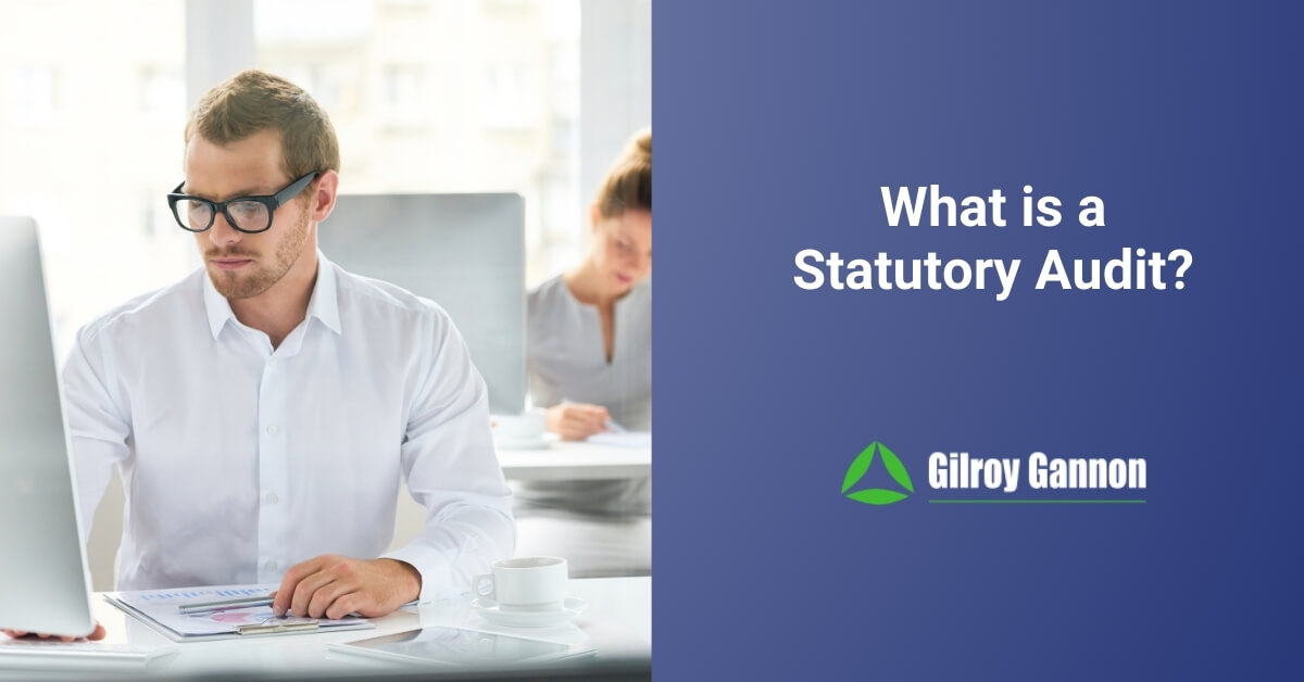 What Is A Statutory Audit?